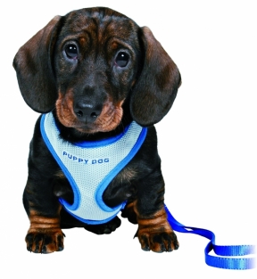 Puppyharnas met leiband blauw